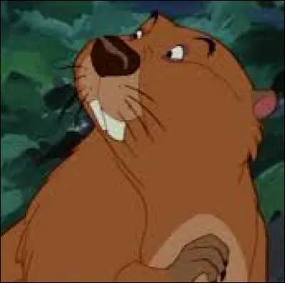 Peut-on voir un castor dans "La Belle et le Clochard" ?