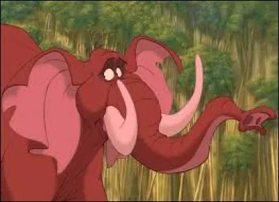 Tantor est un :