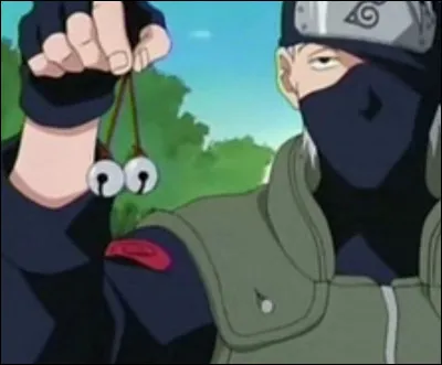 Que veut montrer Kakashi à son équipe ?