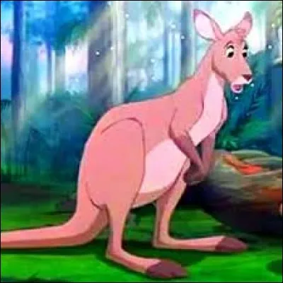 Comment se nomme ce kangourou ?
