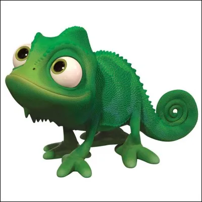 Quel est le nom du caméléon dans "Raiponce" ?