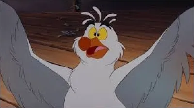 Quel est le nom de cette célèbre mouette ?