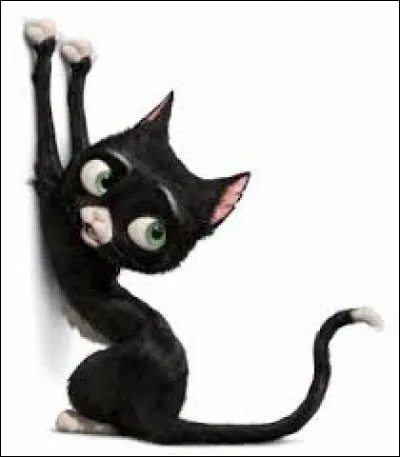 Retrouvez le nom de ce chat présent "Volt, star malgré lui" ?