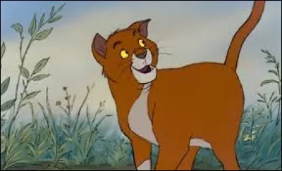 Lequel de ces noms convient à ce chat ?