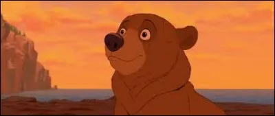 Retrouvez le nom de cet ours !