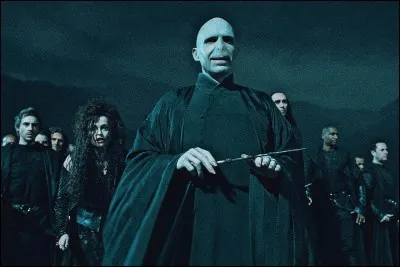 Comment s'appellent les parents de Voldemort ?