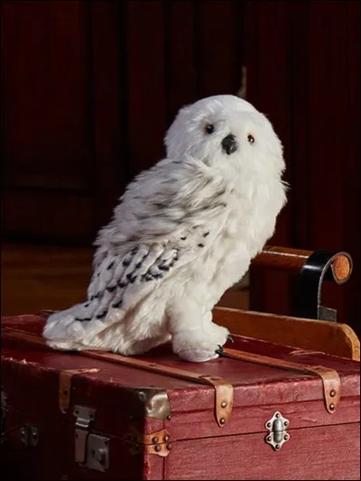 Comment s'appelle la chouette d'Harry Potter ?