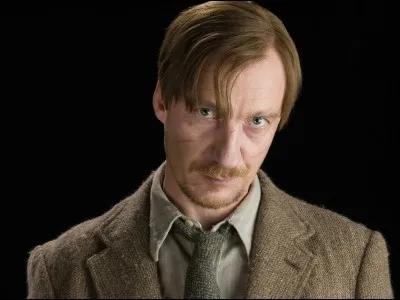 Qui a transformé Remus Lupin en loup-garou ?