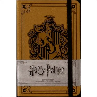 Quel est l'attrapeur de l'équipe de quidditch de Poufsouffle ?