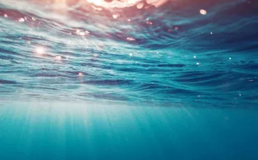 Quiz Ocean