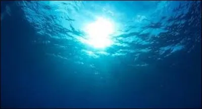 Quelle est la profondeur maximale des océans ?