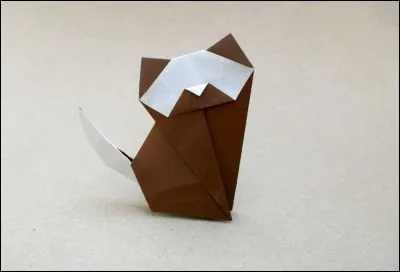 Quel est cet origami ?