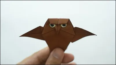 Quel est cet origami ?
