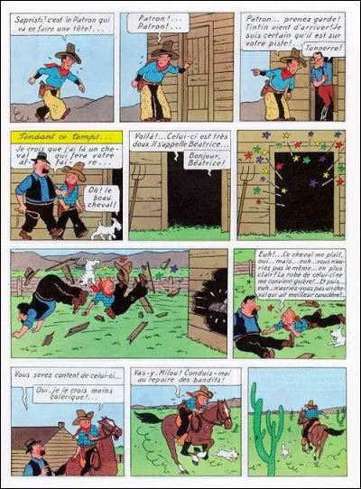 Année : 1932
Lieu(x) d'action : Chicago 
Personnages : Piétro, Mike Mac Adam, Maxi ...
Ça peut aider : On peut trouver Al Capone dans l'album 
Quel est cet album ?