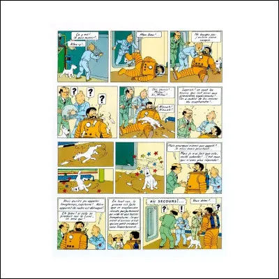 Année : 1953
Lieu(x) d'action : Belgique, Syldavie 
Personnages : Michel, Docteur Rotule, Walther...
Ça peut aider : Neuf autres titres avaient été envisagés pour cet album. 
Quel est cet album ?