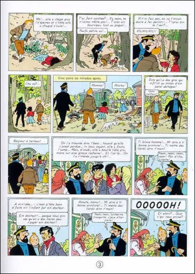 Année : 1963
Lieu(x) d'action : Château de Moulinsart 
Personnages : Irma, Isidore Boullu, Coco ...
Ça peut aider : Hergé s'est inspiré de Sophia Loren pour cette histoire. 
Quel est cet album ?