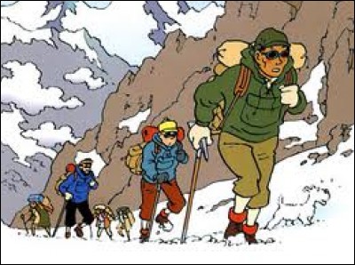 Année : 1960
Lieu(x) d'action : Inde, Népal ...
Personnages : Tchang, Tharkey, Foudre-Bénie...
Ça peut aider : Tintin et ses amis se rendent dans la grotte " Museau du Yack ". 
Quel est cet album ?