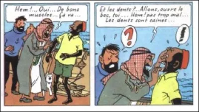 Année : 1958
Lieu(x) d'action : Belgique, Khemed, Mer Rouge 
Personnages : Allan, Ben Kalish Ezab, Kurt...
Ça peut aider : Cet album évoque la traite des esclaves.
Quel est cet album ?