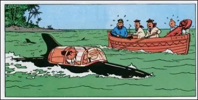 Année : 1944
Lieu(x) d'action : Belgique, Caraïbes...
Personnages : Loiseau, Van Damme
Ça peut aider : L'album marque l'arrivée du professeur Tournesol dans la série. 
Quel est cet album ?