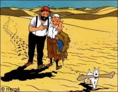 Année : 1950
Lieu(x) d'action : Khemed, Palestine ...
Personnages : Ben Kalish Ezab, Oliveira Da Figueira, docteur Müller...
Ça peut aider : Cet album a été interrompu à cause de l'actualité , puis repris 10 ans plus tard. 
Quel est cet album ?