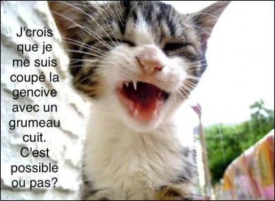 Il s'est coupé la gencive avec un grumeau cuit :