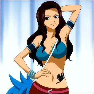 Fairy Tail est une guilde de....