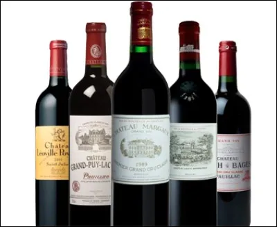 Il serait dommage de ne pas profiter de l'Atlantique, prenez le temps de visiter Arcachon, tout en dégustant des huitres, que vous ferez passer ensuite avec un excellent millésime, à Bordeaux , prenez la direction ...