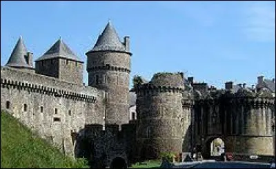 Fougères est la préfecture du département n°35.