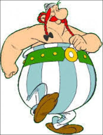 Obélix est né le même jour qu'un autre personnage du village. Lequel ?