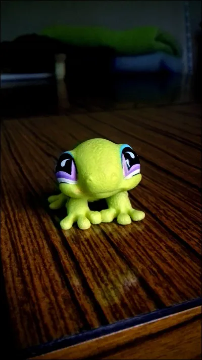 Quelle est la race de ce LPS ?