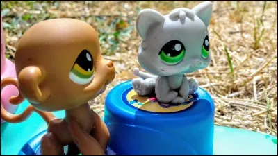 De quelle race est le LPS marron ?