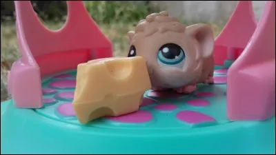 Que mange ce PetShop ?