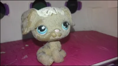 Quelle est la matière de ce PetShop ?