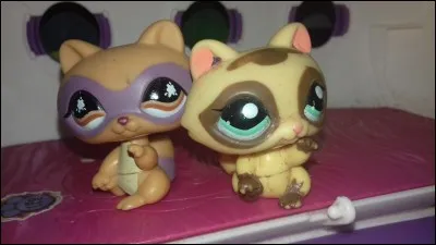 Quelle est la race de ces 2 PetShop ?