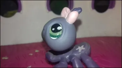 Comment sont les yeux de ce PetShop ?