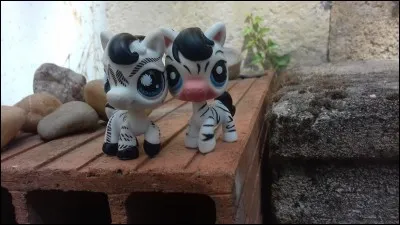 Combien y a-t-il de génération LPS ?