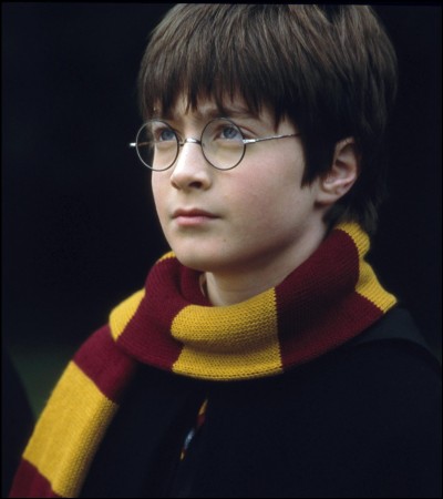 Dans "Harry Potter à l'école des sorciers" à qui le professeur Dumbledore confie-t-il le petit Harry ?
