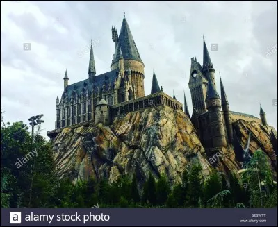 Qui amène Harry à son premier jour d'école à Poudlard ?