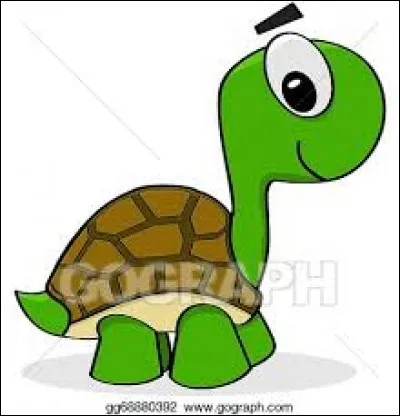 La tortue luth n'a pas de carapace.