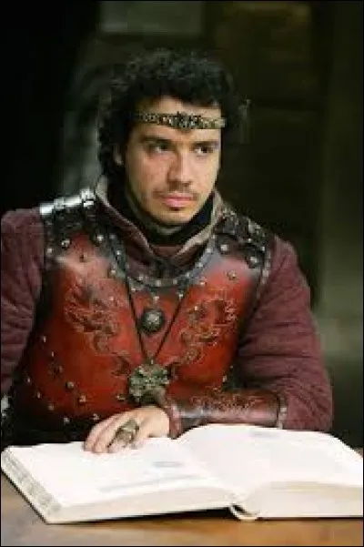 Durandal est l'épée du roi Arthur.