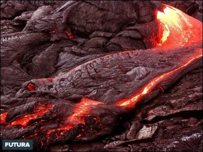 Quels sont tes &eacute;l&eacute;ments favoris ?