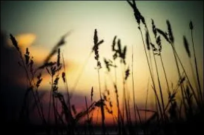 En quelle année le premier centre de soins de fin de vie a ouvert ses portes en France ?