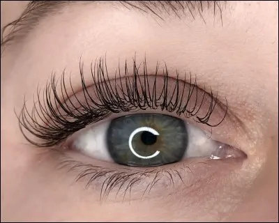 Concernant mes yeux, quels cils devrais-je choisir de poser si je souhaite les garder pendant une journée ?