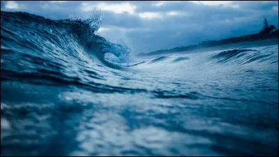 Je vois, merci. Je voudrais y ajouter du mascara, tiendra-t-il si je pars surfer dans l'océan cet après-midi ?