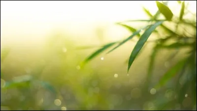 S.V.T. (biologie) : 
A partir de matières minérales prélevées dans le milieu (sels minéraux, dioxygène et eau), les plantes fabriquent :