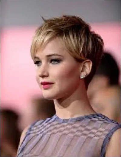 Quel est le nom de cette coiffure ?