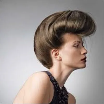 Quel est le nom de cette coiffure ?