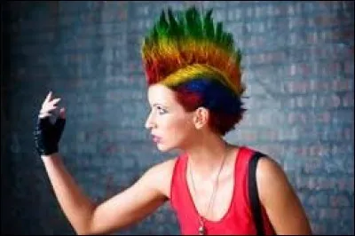 Comment s'appelle cette coiffure ?