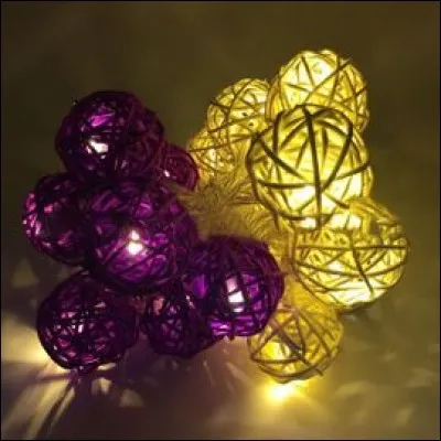 C'est justement chez elle qu'une fête est organisée. Quel était le thème de la soirée ?