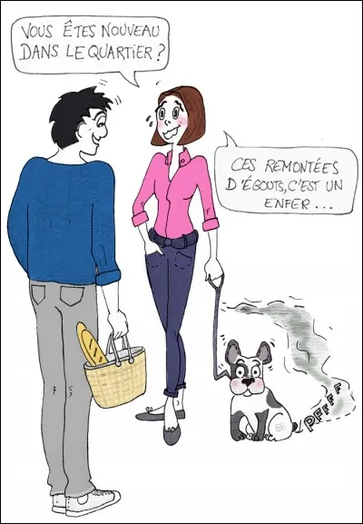 Trésor est un adorable bulldog anglais de trois mois, choyé par Nathalie. Au bout d'un mois, Jean-Pierre son conjoint n'en peut plus et décide d'abandonner ce chiot car :